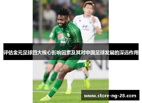 评估金元足球四大核心影响因素及其对中国足球发展的深远作用